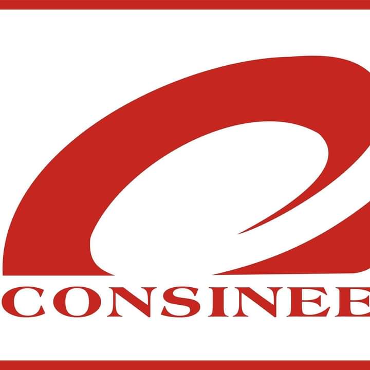 Consinee Logo